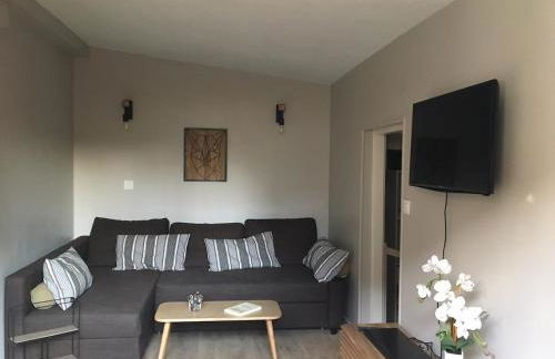 Maison individuelle dans ancienne ecurie - Foto 33