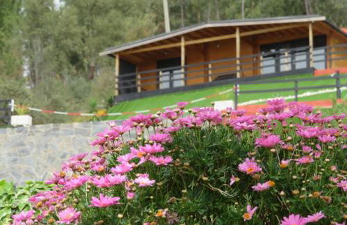 Villa dos Pensamentos - Foto 37