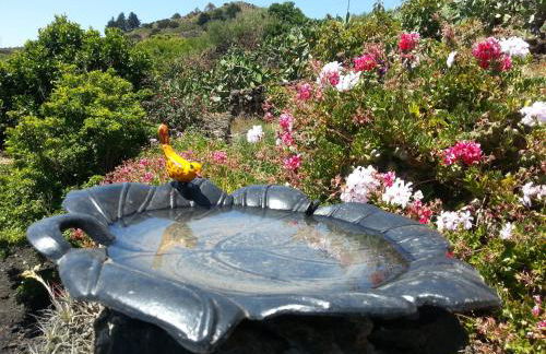 Casa Rural El Valle - Foto 7