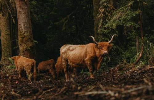 The Lodge at Highland Farms - Foto 16