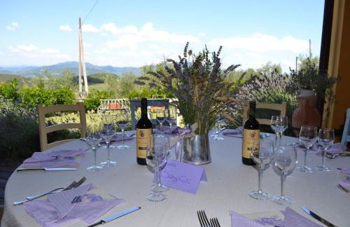 Tenuta Risalpiano - Foto 51