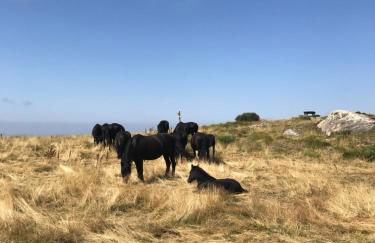 Appartement chalet - Foto 26