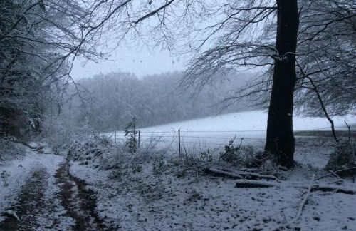 Gîte nature - 4 personnes à Signy-le-Petit - Foto 30