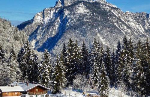 Nattersbergalm - Foto 7