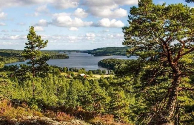 4 Person Holiday Home in Ulfborg-by Traum - Photo 29