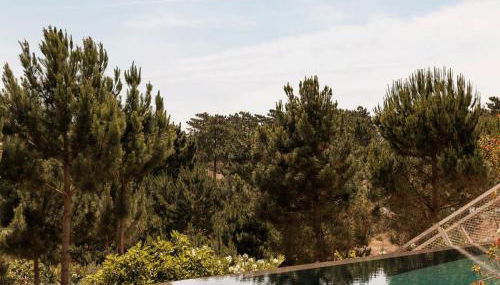 Campo de Arroz - Foto 4