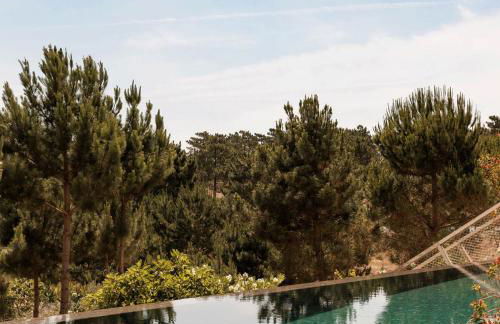 Campo de Arroz - Foto 4