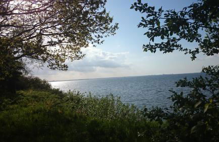 Haus Katharina - Foto 12