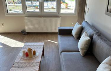 EVIA RIVIERA - Photo 17