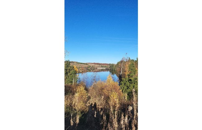 Ferienhaus in Blankenburg - Foto 36