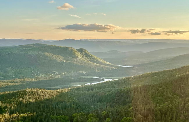 Bonne Bay Cottages - Photo 35