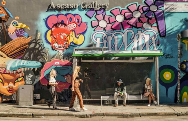 Tour por Wynwood - Foto 6