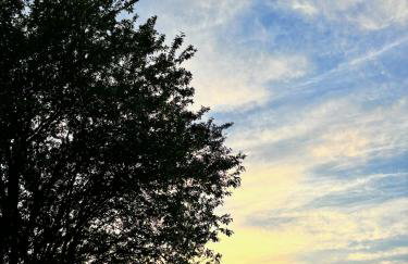 Apartamenty i Winnica - Siedlisko Na Polanie - Foto 51