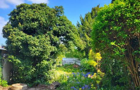 Plain-pied - Centre ville - Jardin au calme - Foto 21