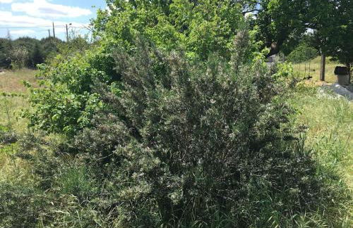 Villa Mezanine - Foto 18