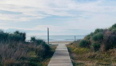 Kione Torresblancas - Foto 2