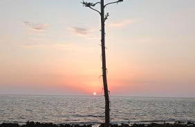 Tzanetos Seaside - Foto 31