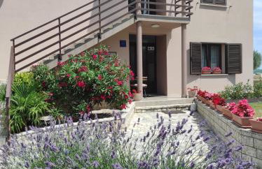 Apartman Gina - Photo 34