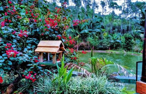 Sitio Libardo em Meio a Natureza - Nova Trento - Foto 90