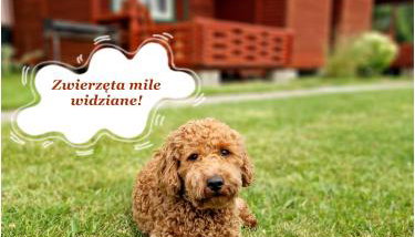 Kraina z bali - Foto 2