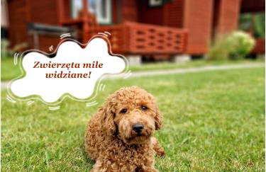 Kraina z bali - Foto 2