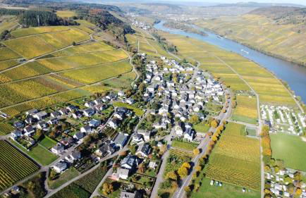 Moselglück - Foto 22