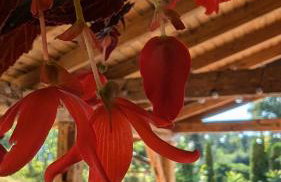 Król Puszczy - unikatowy dom, jezioro 80m, szlak Krutyni - Foto 52