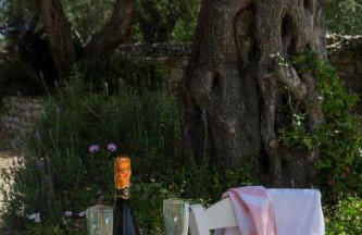 Villa Elaia Suites & Apartments No.3 - Photo 31