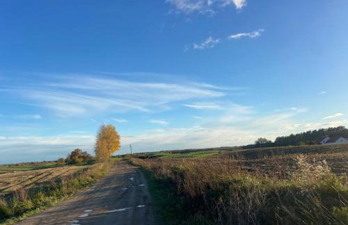 Feel-Harmonia w Nowym Kawkowie - Foto 27