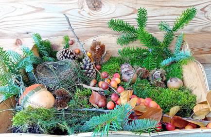 Cà sul dos - Foto 53