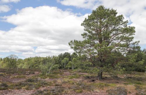 Moss of Bourach - Foto 34