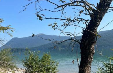 Ferienhof Kohler - Foto 40