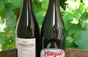 Gite le Pot de Vin - Foto 18