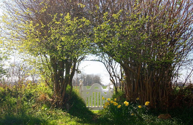 House in Damp Near Baltic Sea Beach - Foto 16