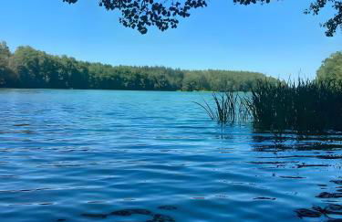 Bungalows im Grünen - Photo 35