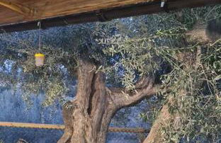 CasaRuibella - Foto 9