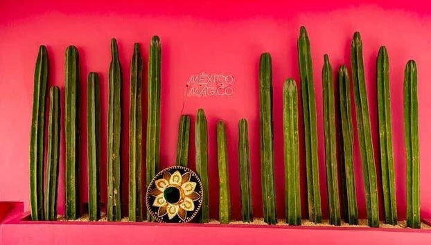 Descobriremos a rica história mexicana em Cancún