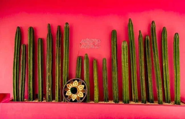 Cancun City Tour - Photo 3