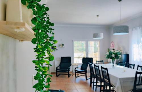 Casa Pinto - Foto 23