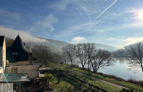 Weingut-Gästehaus-Haas - Foto 32