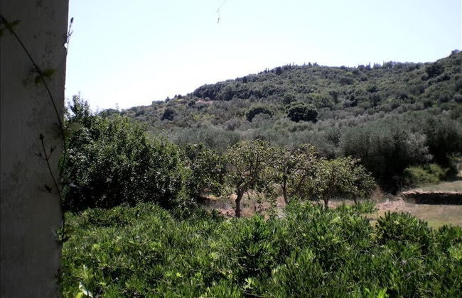 Porto Ercole Tuscany Coast Classic Charm in Fabulous 18th c Farmhouse now Chic Designer Villa w P - Photo 36