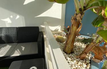 Halászfalu Apartman Green Park - Foto 10