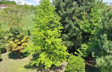 Cascina Bringin - Photo 45