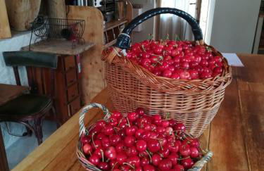 La Ferme Constantin - Foto 56