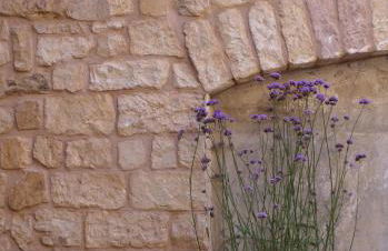 Gästehaus Zweite Heimat - Foto 18