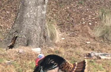 Perfect Country-Side Get-Away - Photo 39