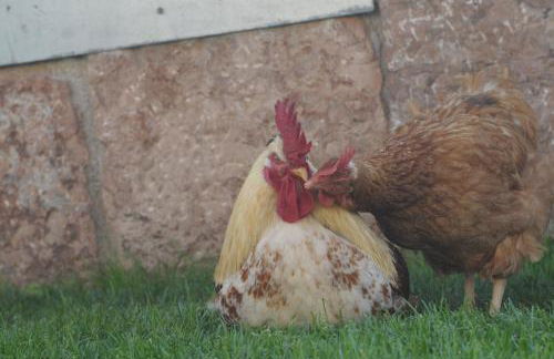 Agriturismo Sol De Montalto - Photo 39