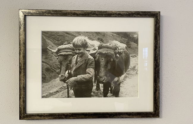 Panorama Chalet Tirol - Foto 33