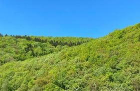 Ferienwohnung-Eichheck - Foto 6