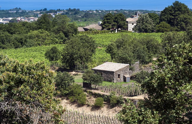 Monaci delle Terre Nere - Foto 56